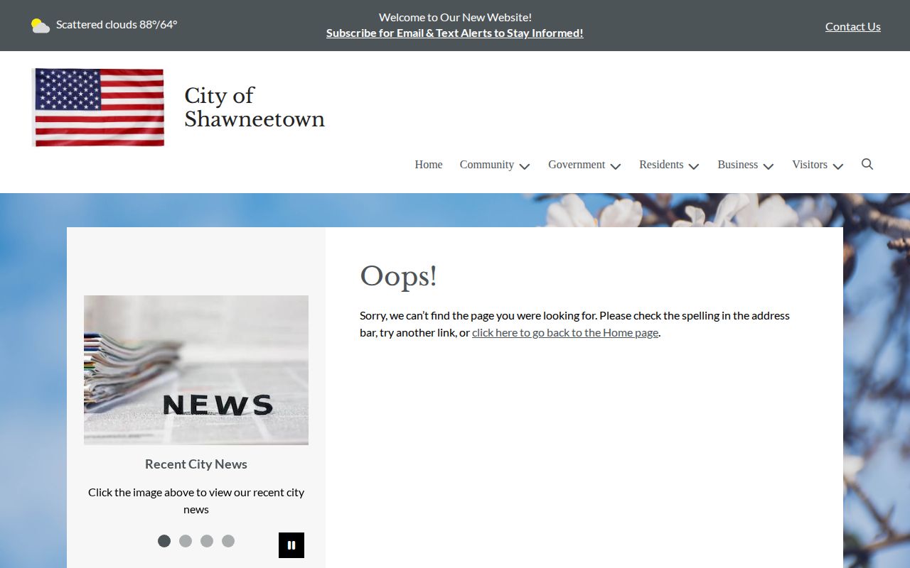 Captured Shawneetown Police Department contact page